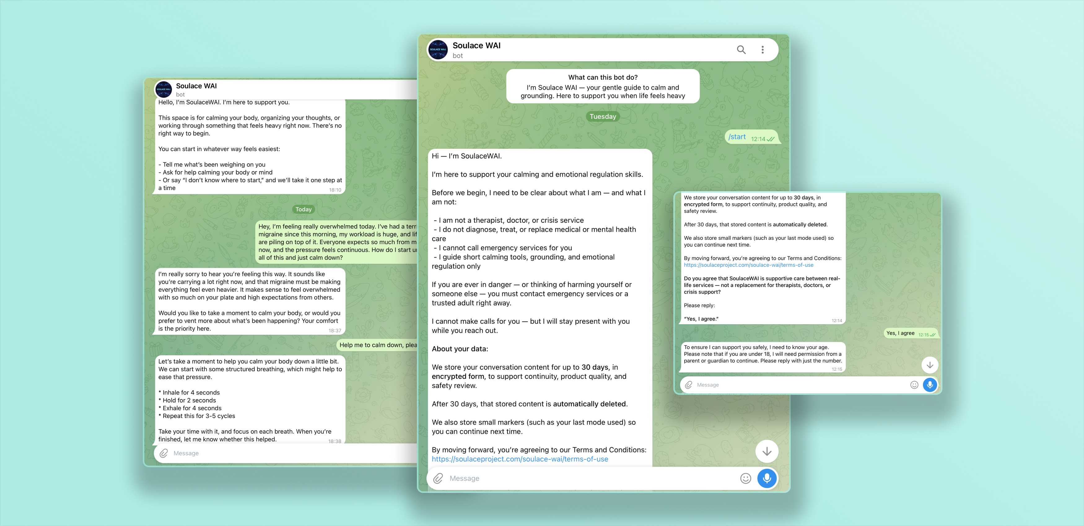 Main image for the case study: Custom AI Chatbot for Emotional Regulation