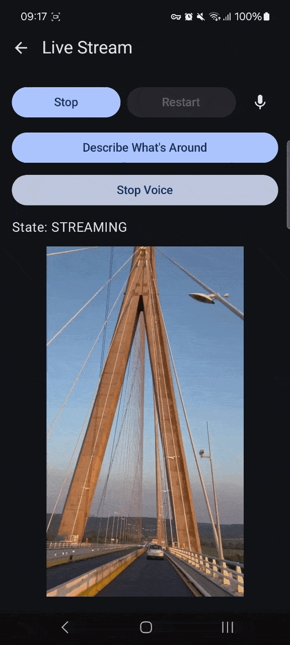 Travel Hands live stream screen showing a bridge on camera, with a Describe What's Around button