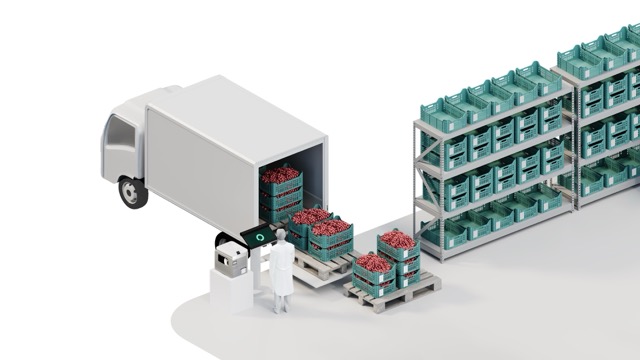 En person i hvit frakk ved en truck som laster kasser med røde bær fra et lastebilrom til hyller.