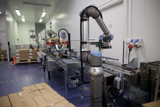 Industrirobotarm som håndterer esker på transportbånd i et fabrikkrom.