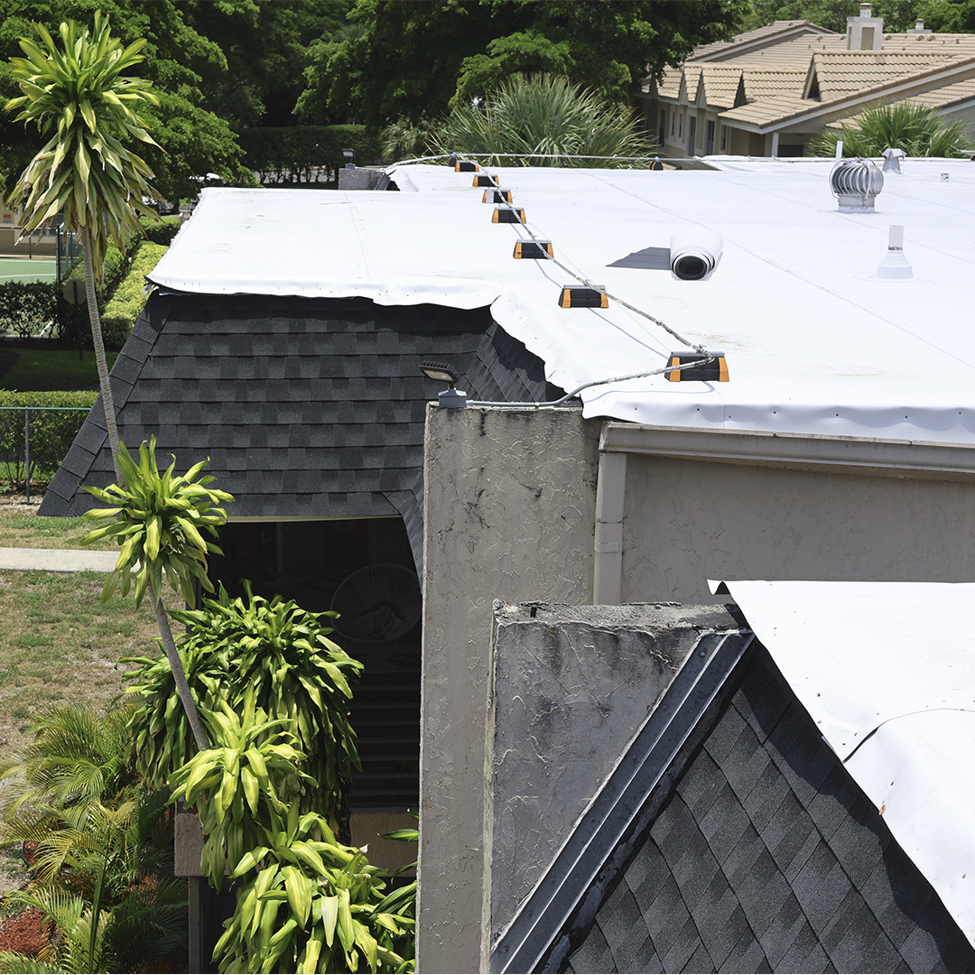 image of sashimi selection