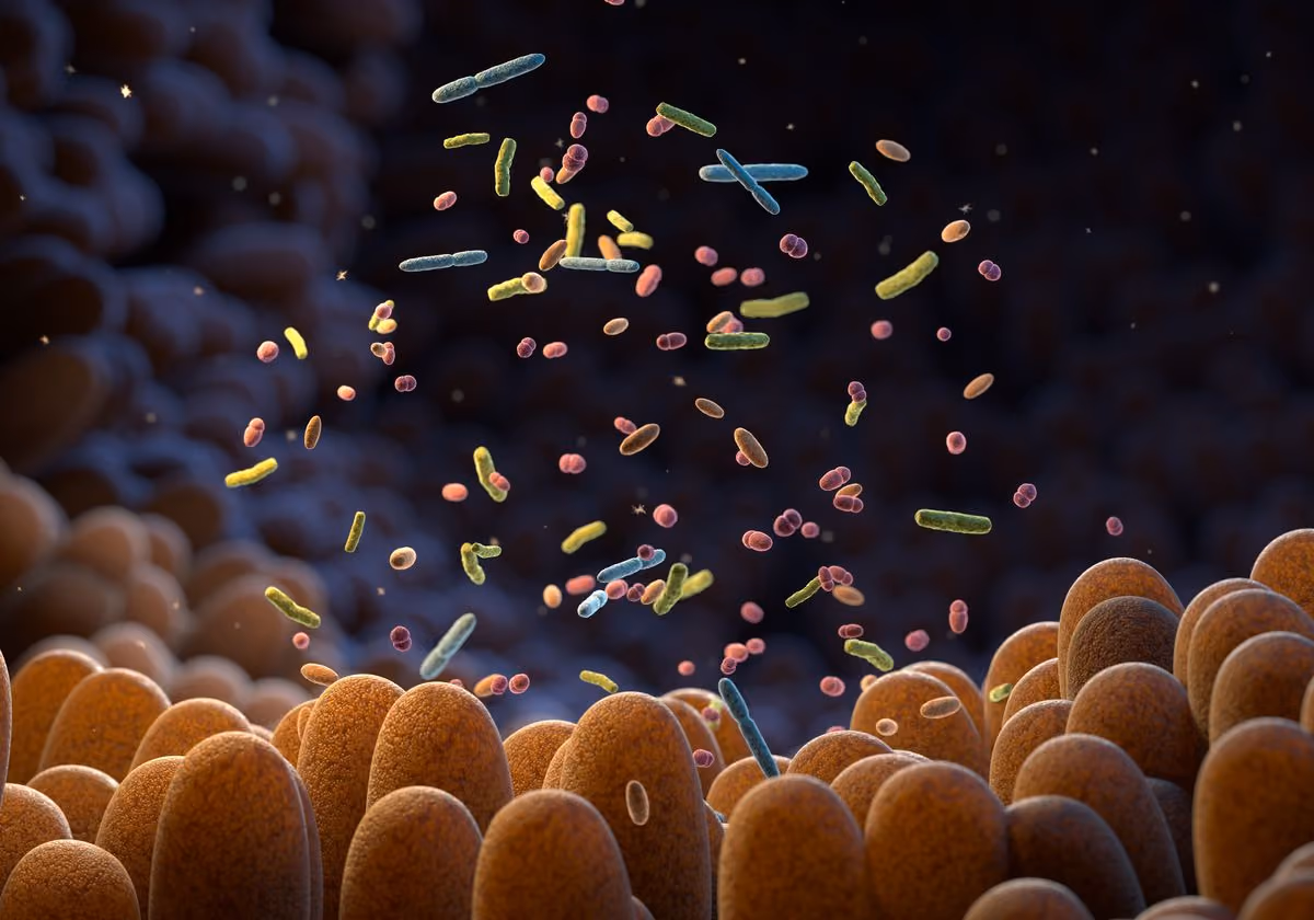 What Is Leaky Gut and Can It Affect Autism?