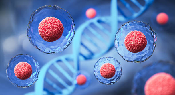 Are Stem Cells Safe for Children With Autism?