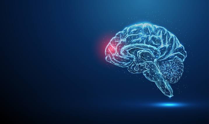 What Is Neuroinflammation and Why Does It Matter in Autism?