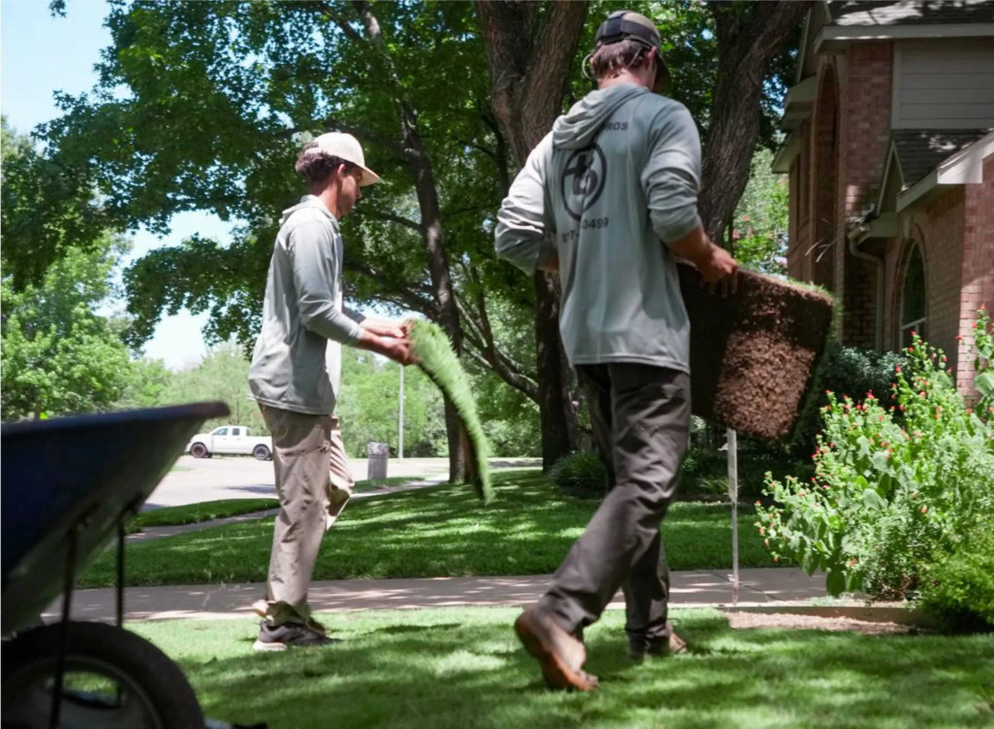 sod installation services