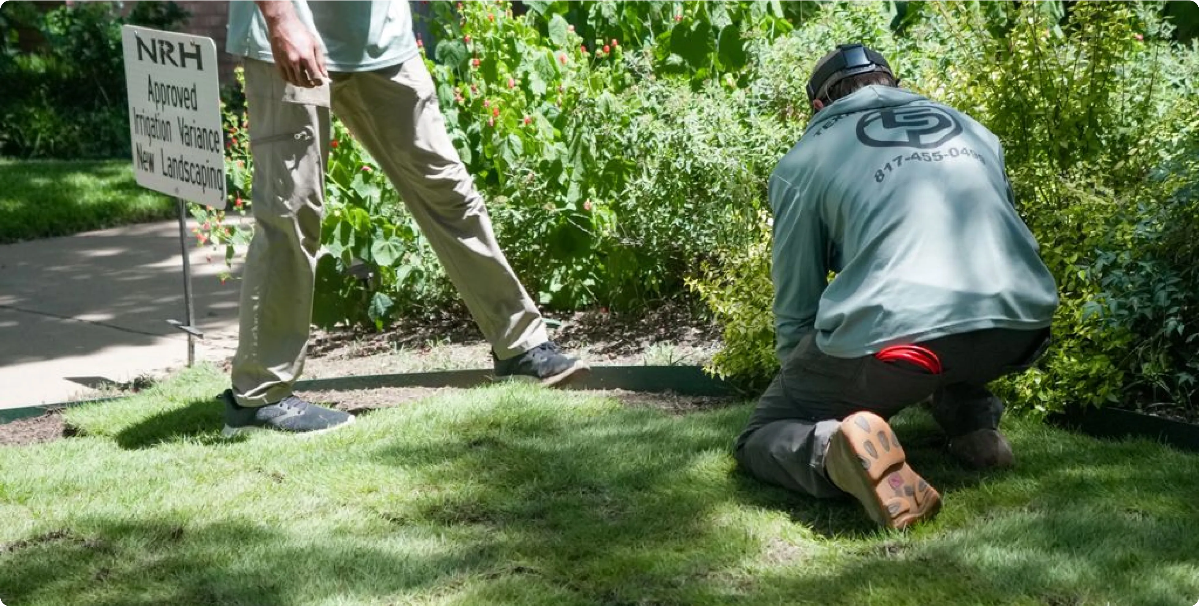 lawn replacement company