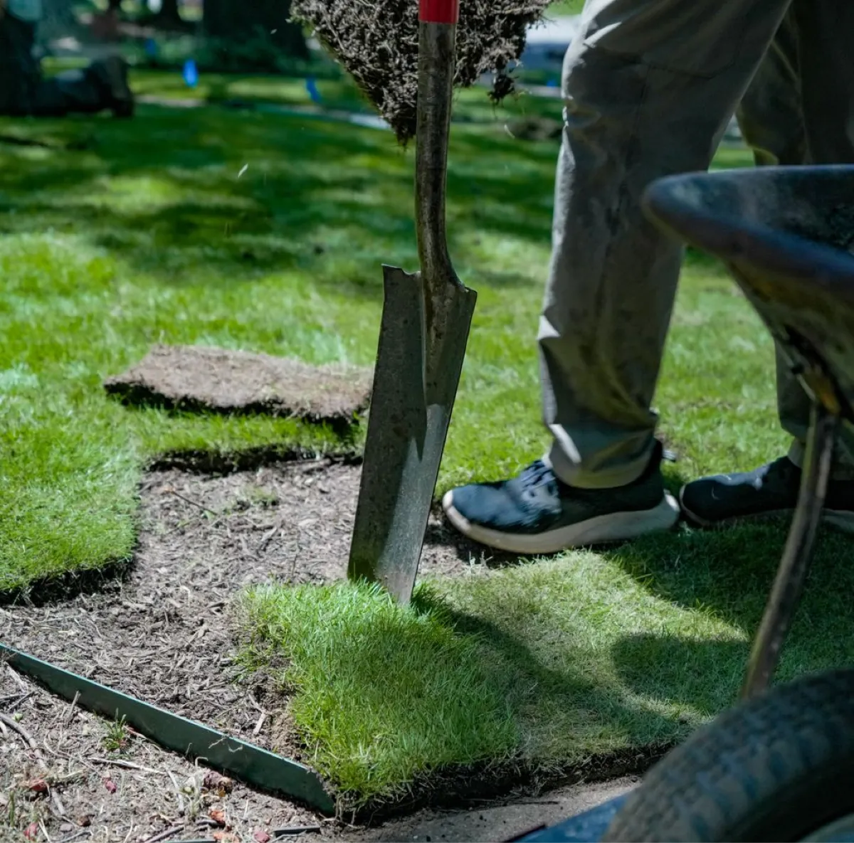 lawn patch repair