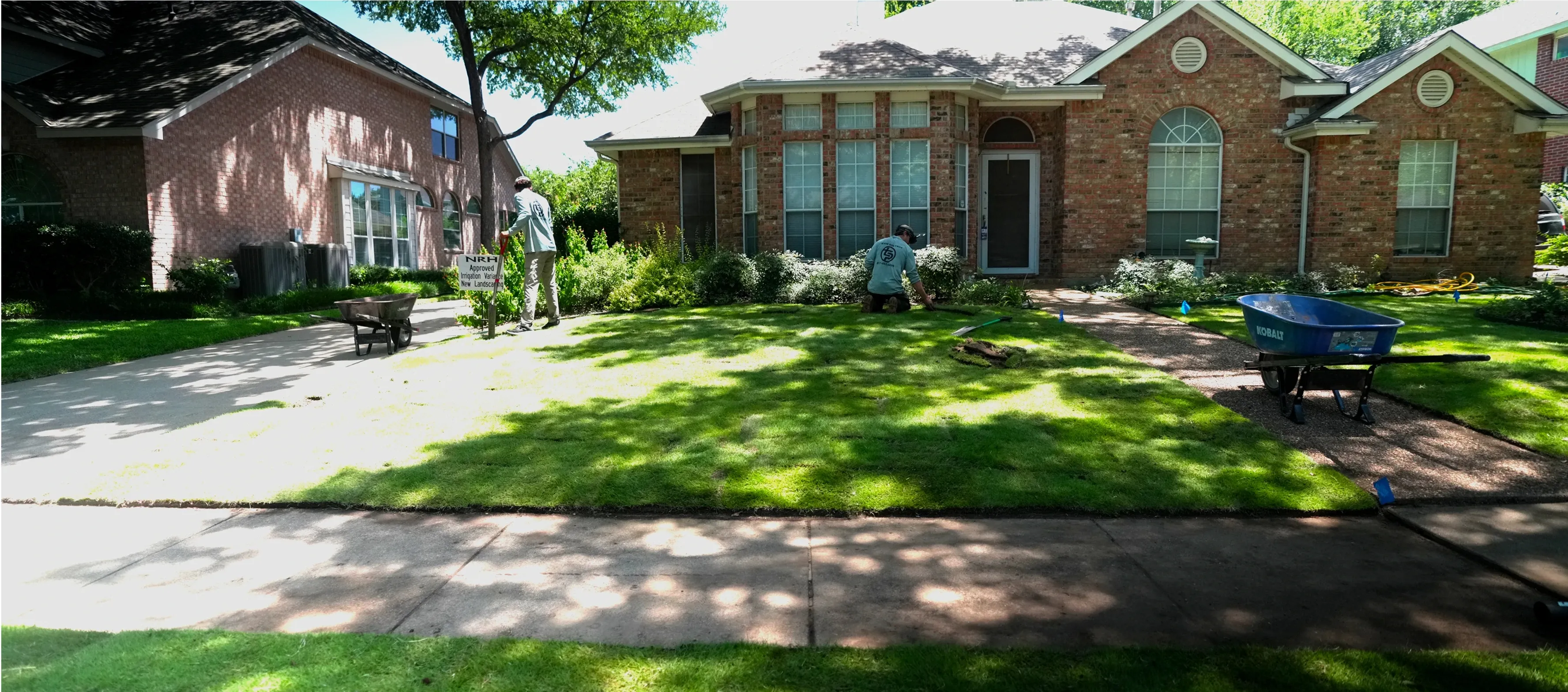 grass patch repair