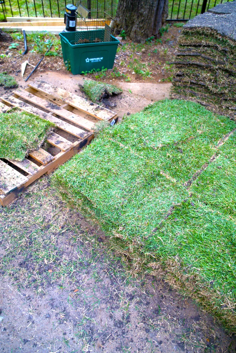 new sod installation near me
