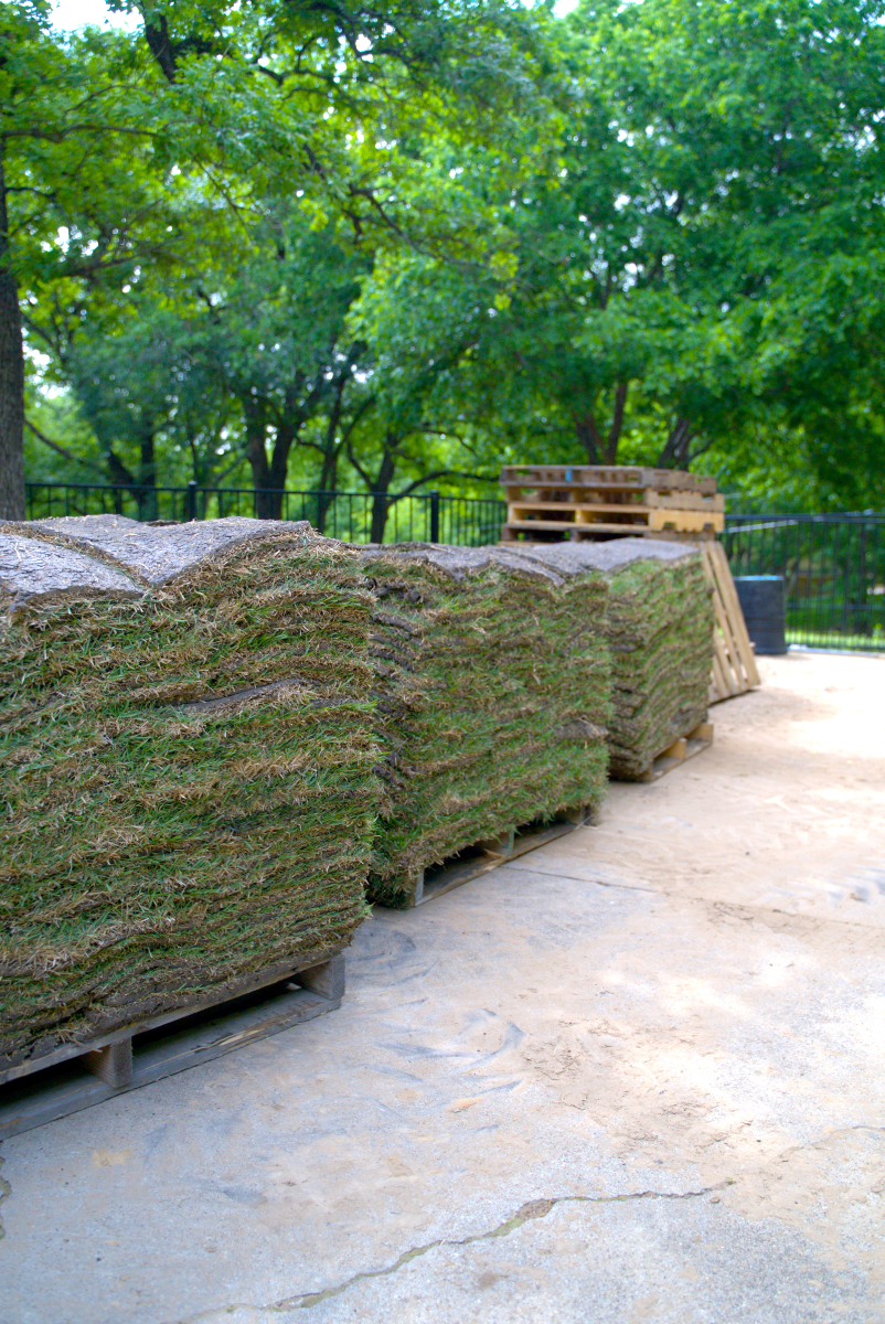sod installers near me