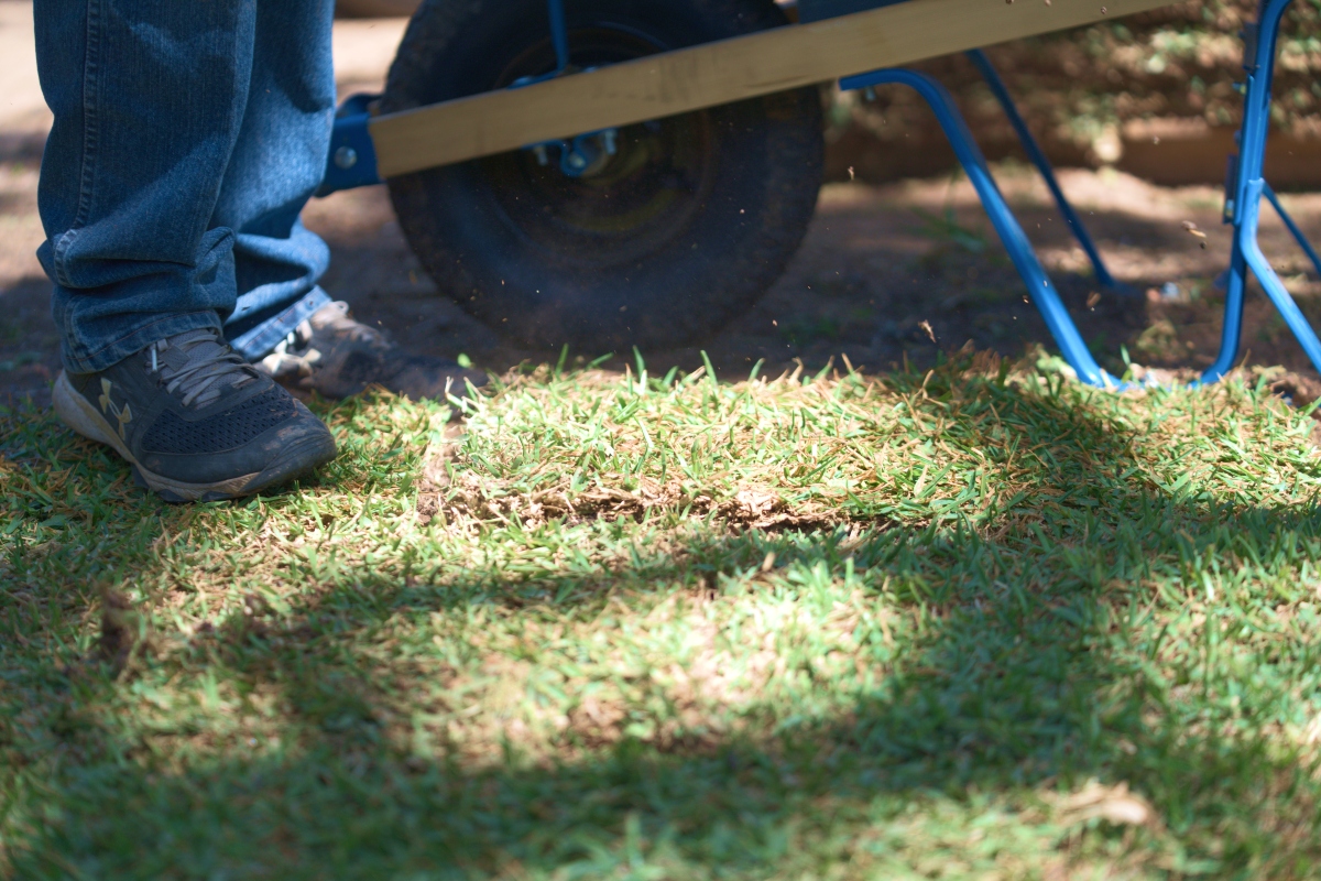 residential sod installation services