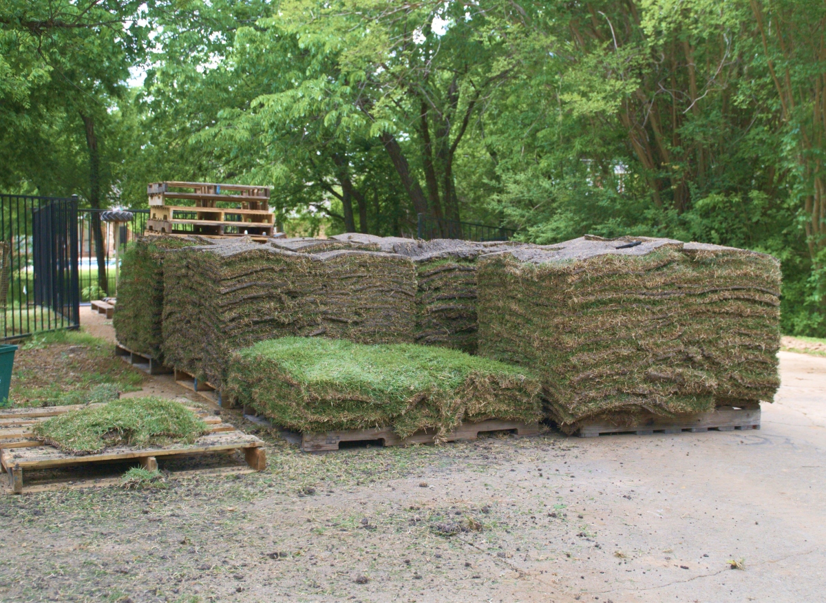 sod installation near dfw