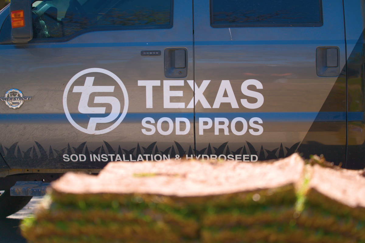 sod removal and replacement near me