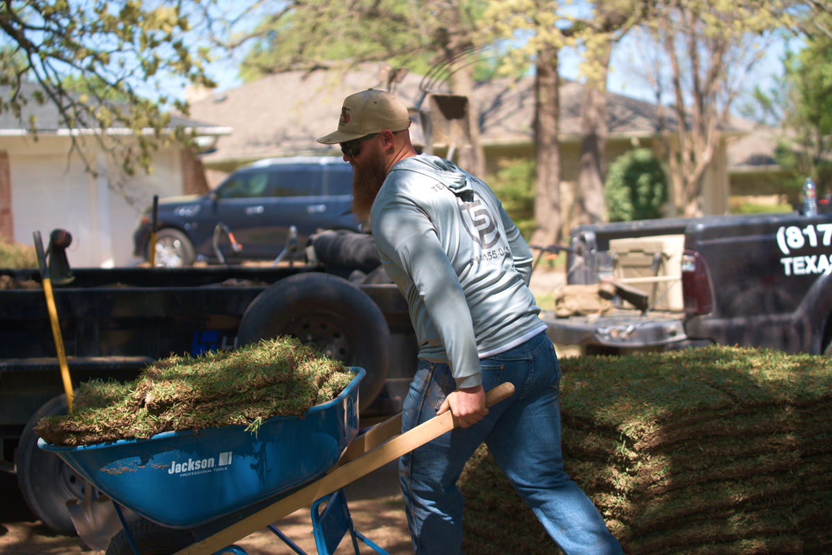 best sod installation company
