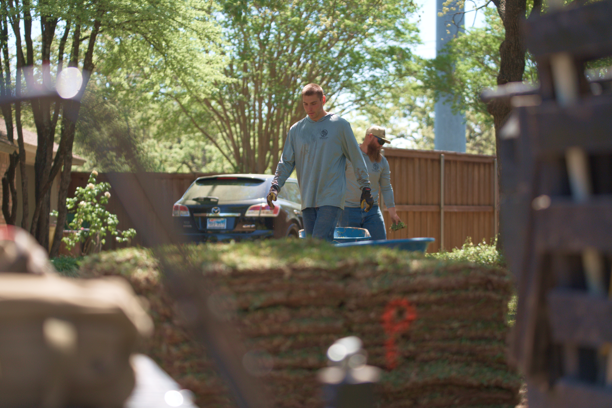 sod installers near me