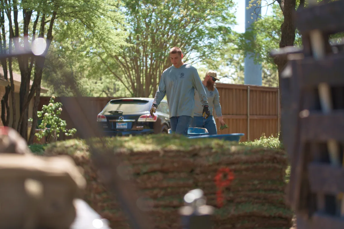 sod installers near me