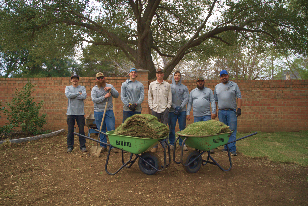 best sod installation companies near me