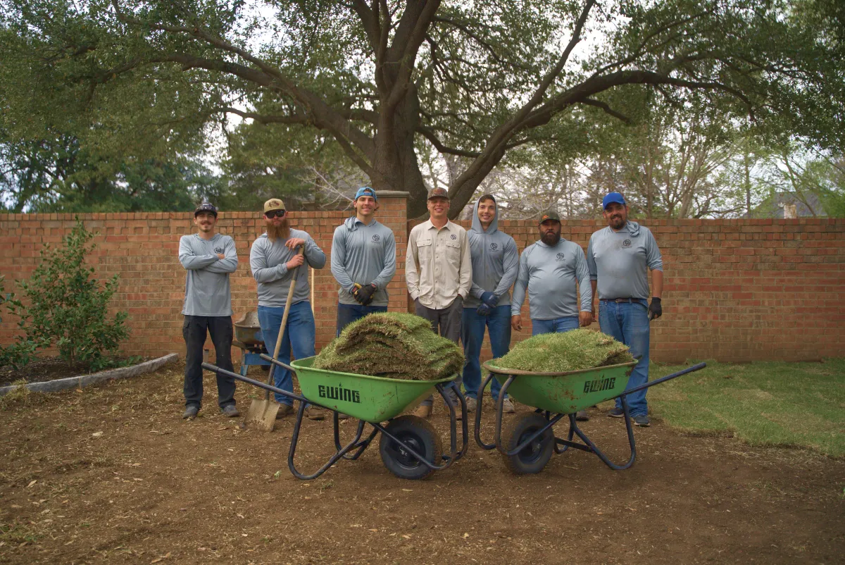 best sod installation companies near me