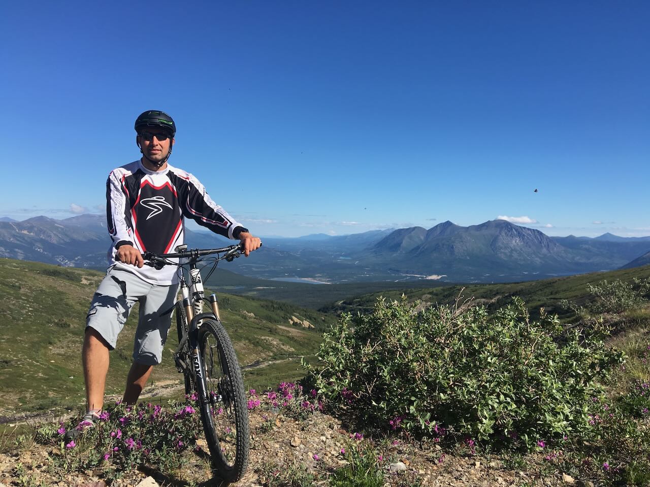 Description of image 1