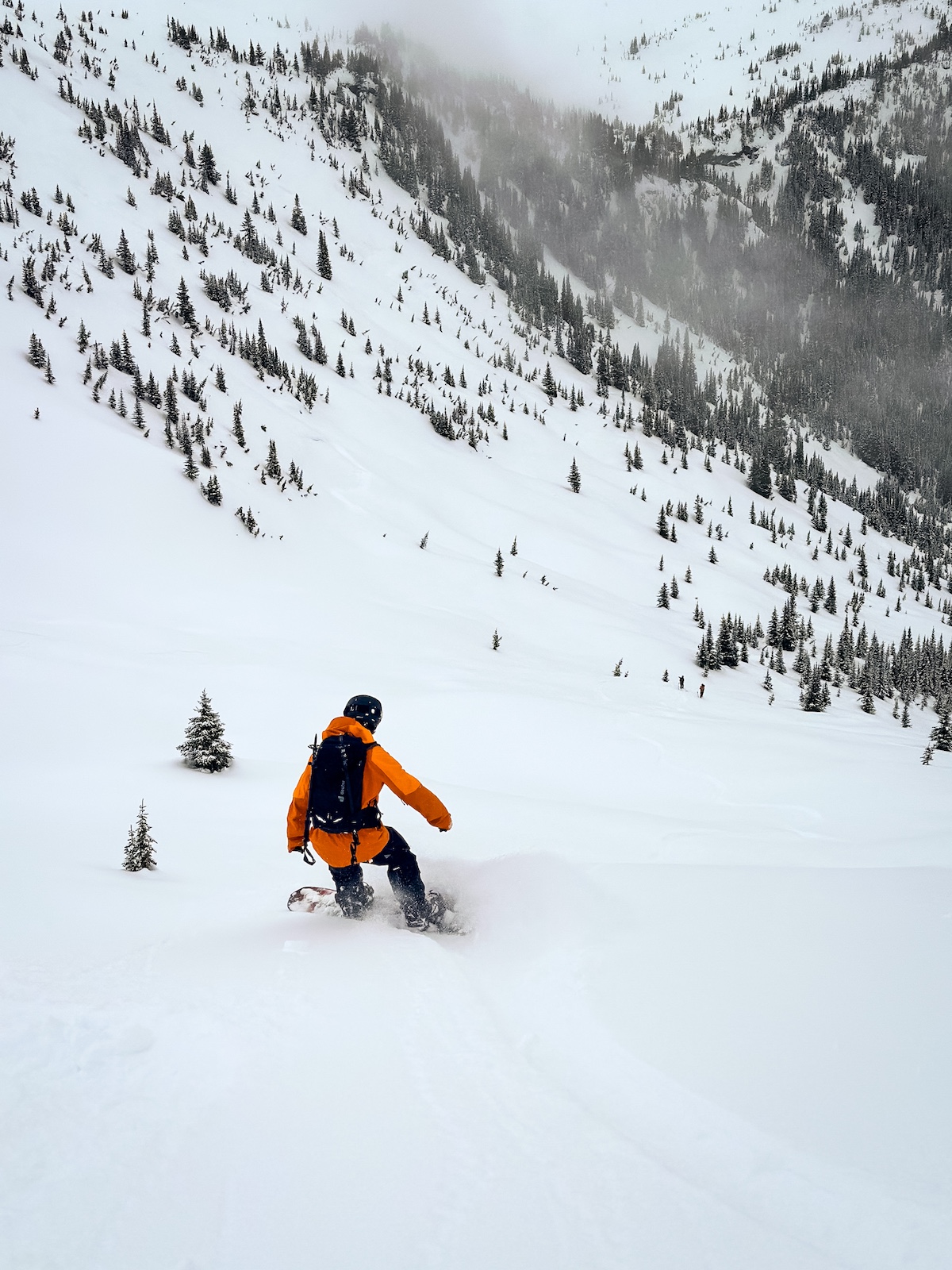 Description of image 1