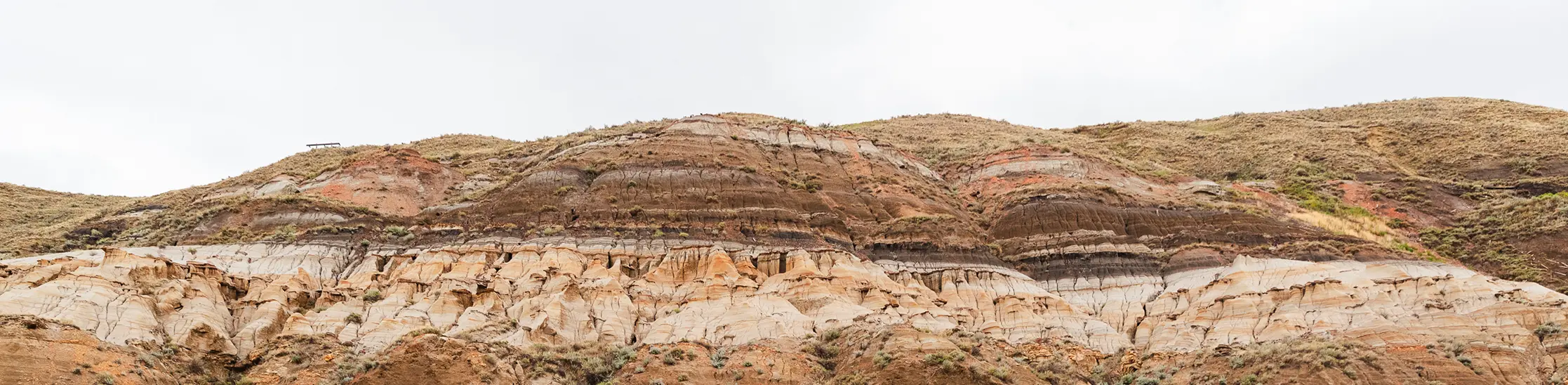 Alberta Badlands