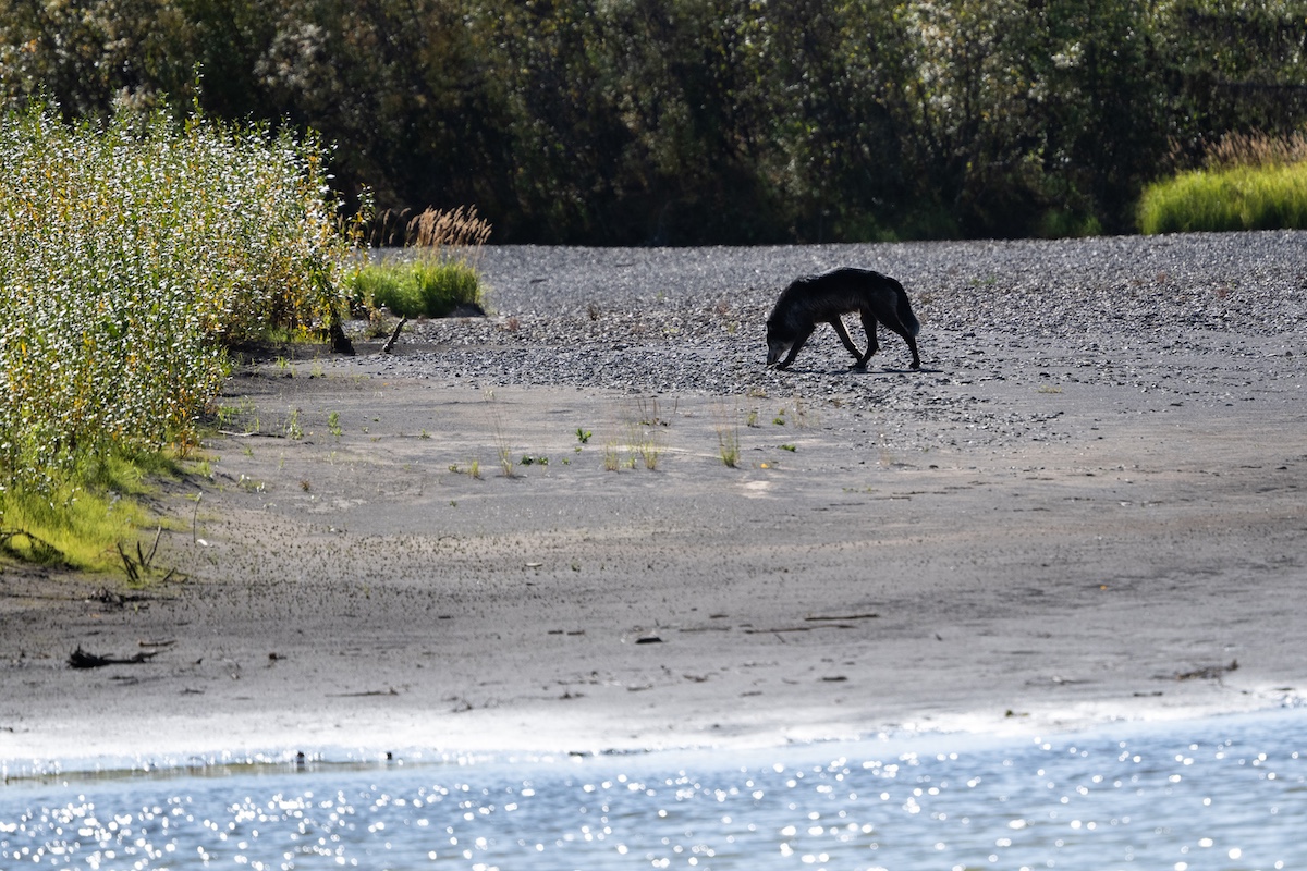 Description of image 2