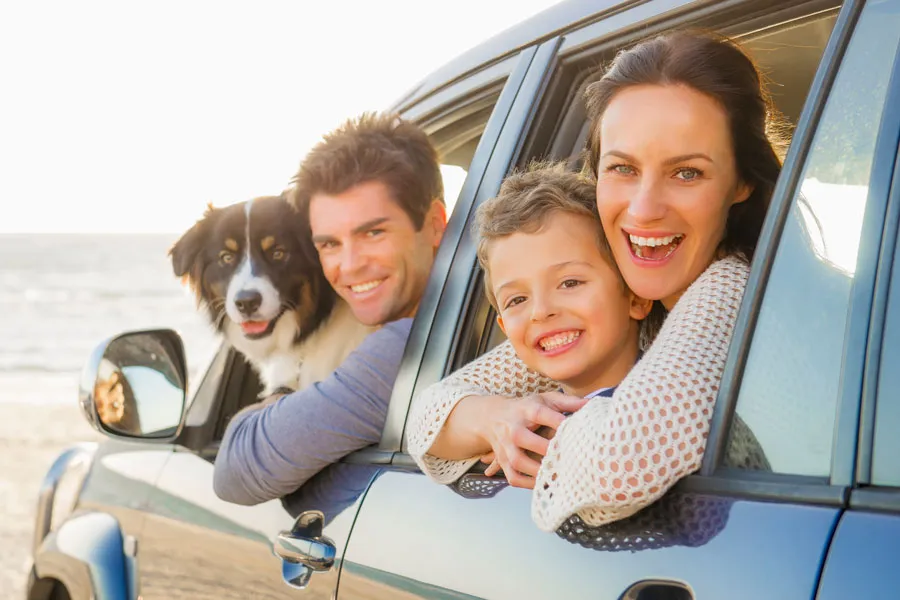 Cheerful family with dog looking out car window at the beach, insured by independent insurance agency in South Florida.