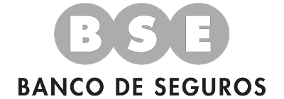 BSE