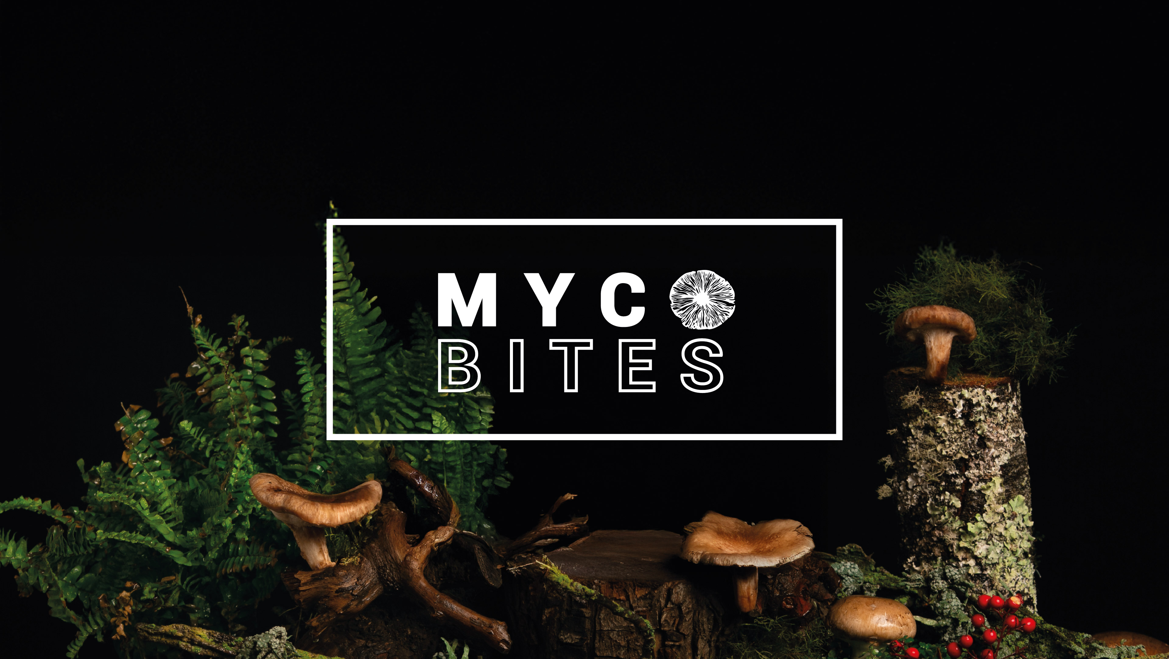 MycoBites Fotografia