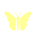 Yellow butterfly moving its wings.
