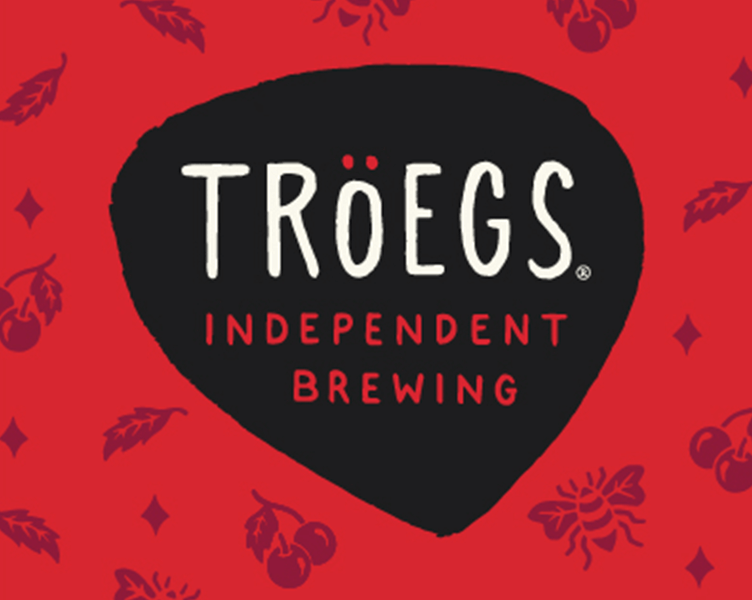 Tröegs mad elf filter project preview.