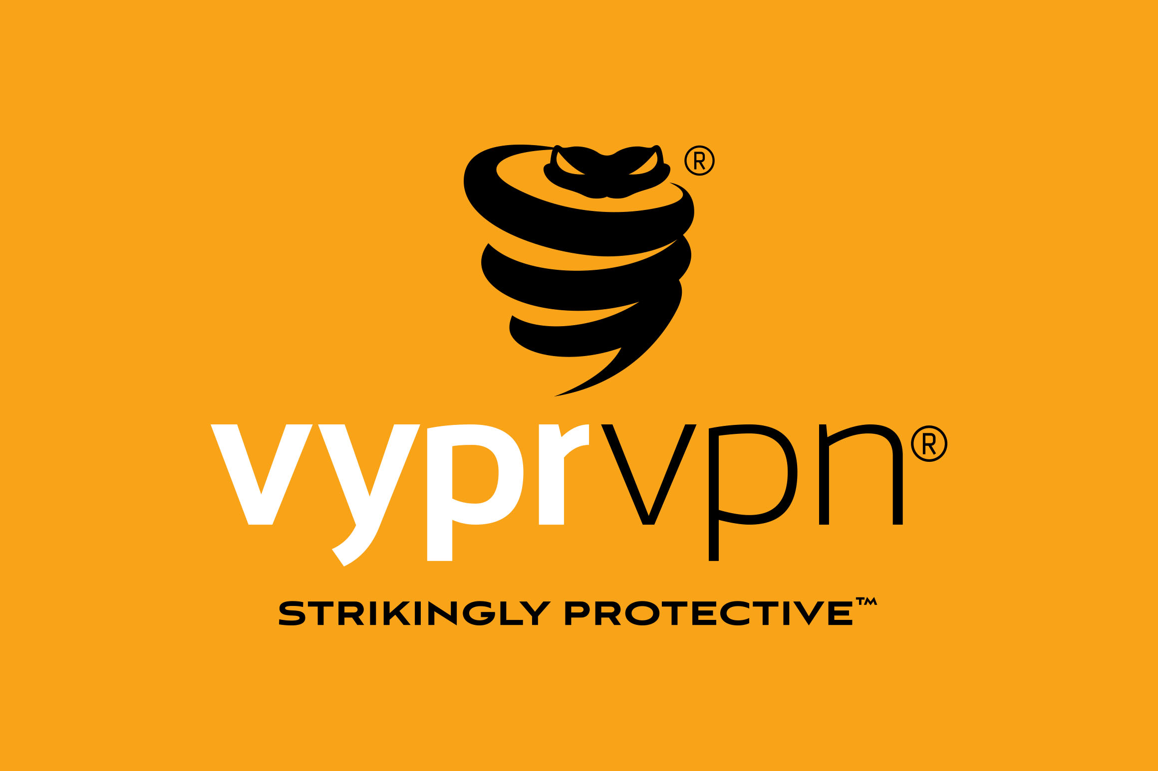 VyprVPN logo vertical.