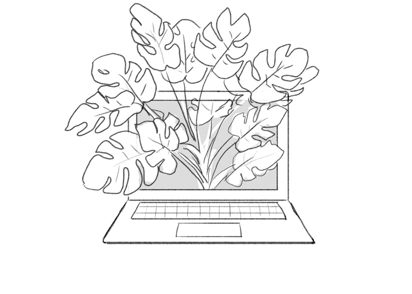 Storyboard of a laptop with a plant popping out of the screen.