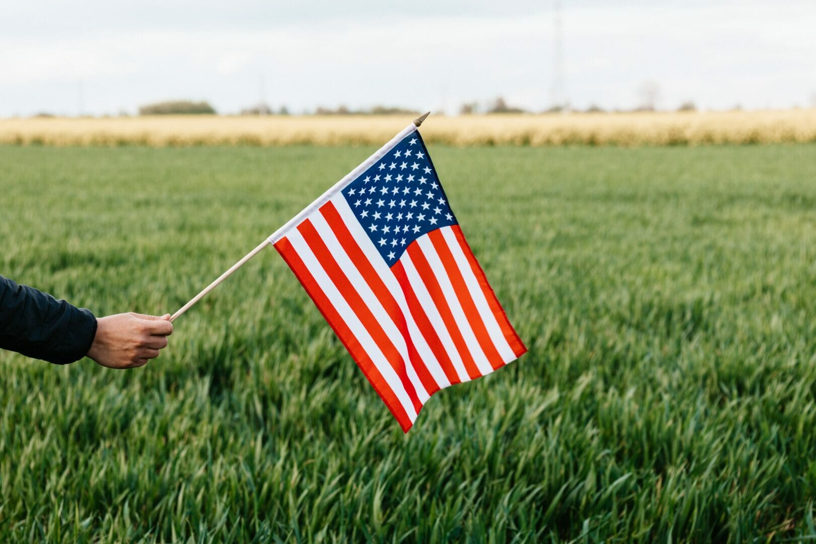 Hand holding an American flag in a field