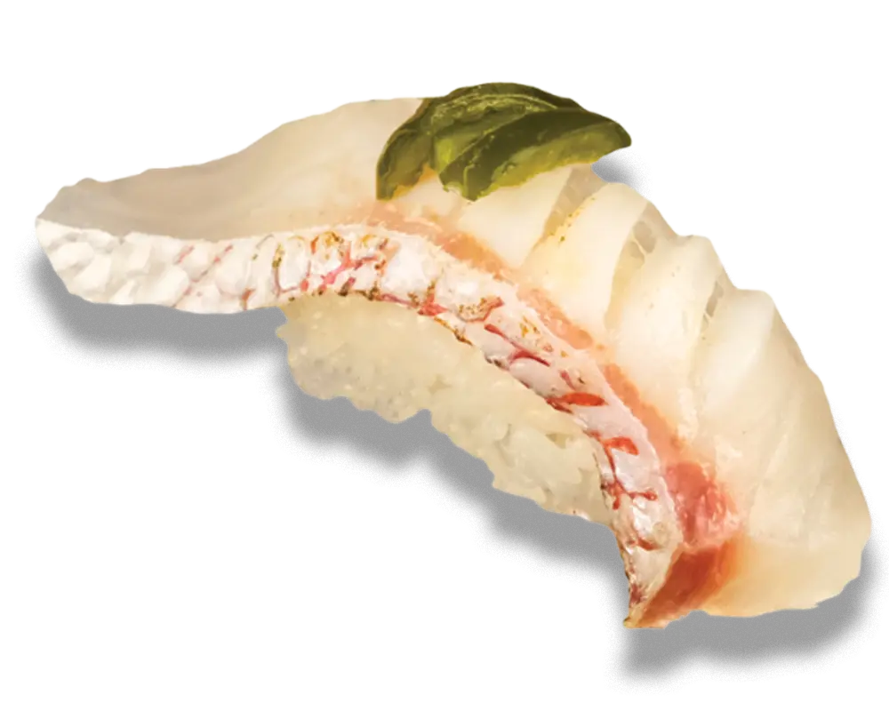 Sea Bream