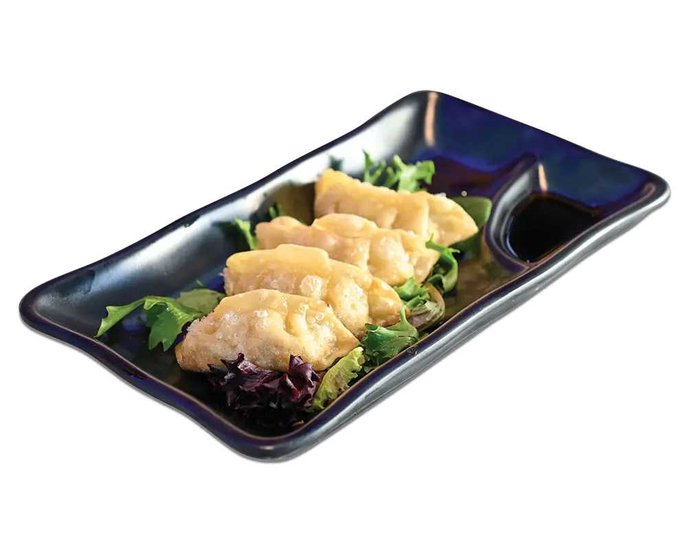 Gyoza