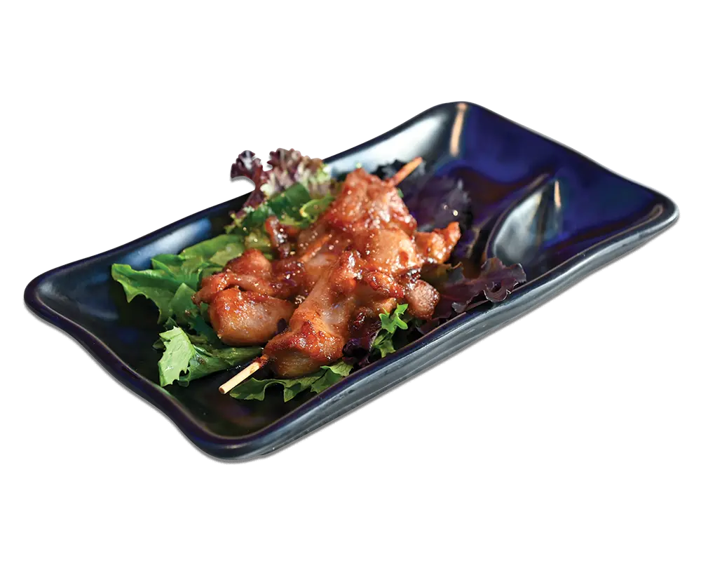 Chicken Skewer