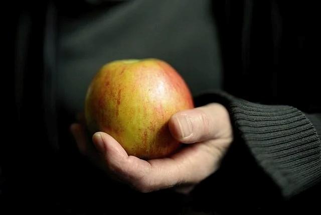 Mano sosteniendo una frutaDescripción generada automáticamente