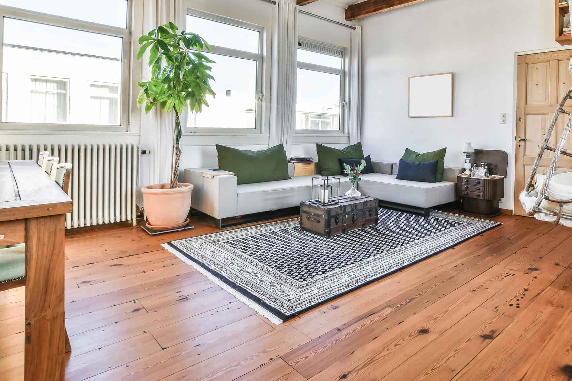 living room of modern apartment
