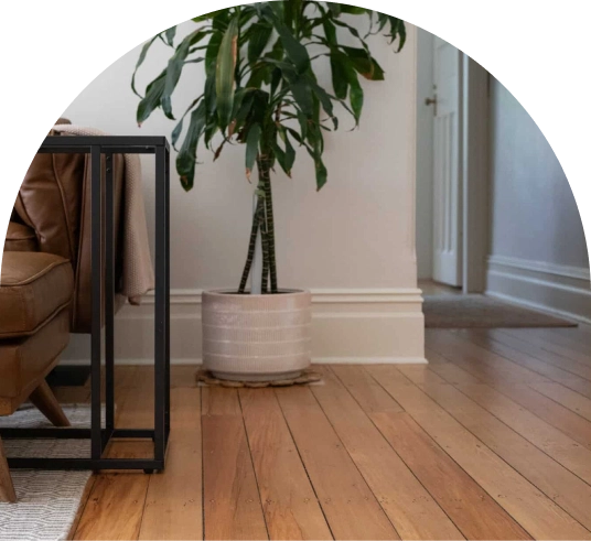 modern living room couch on medium dark hardwood