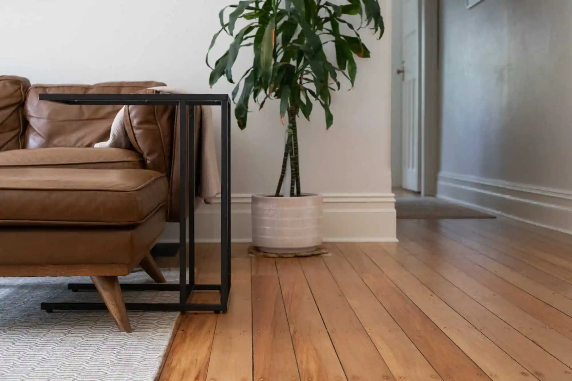 modern living room couch on medium dark hardwood