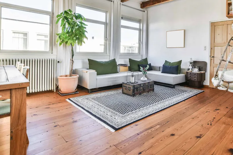 living room of modern apartment