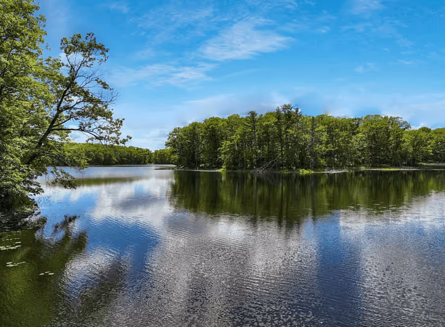 lake with an island and trees in the distance