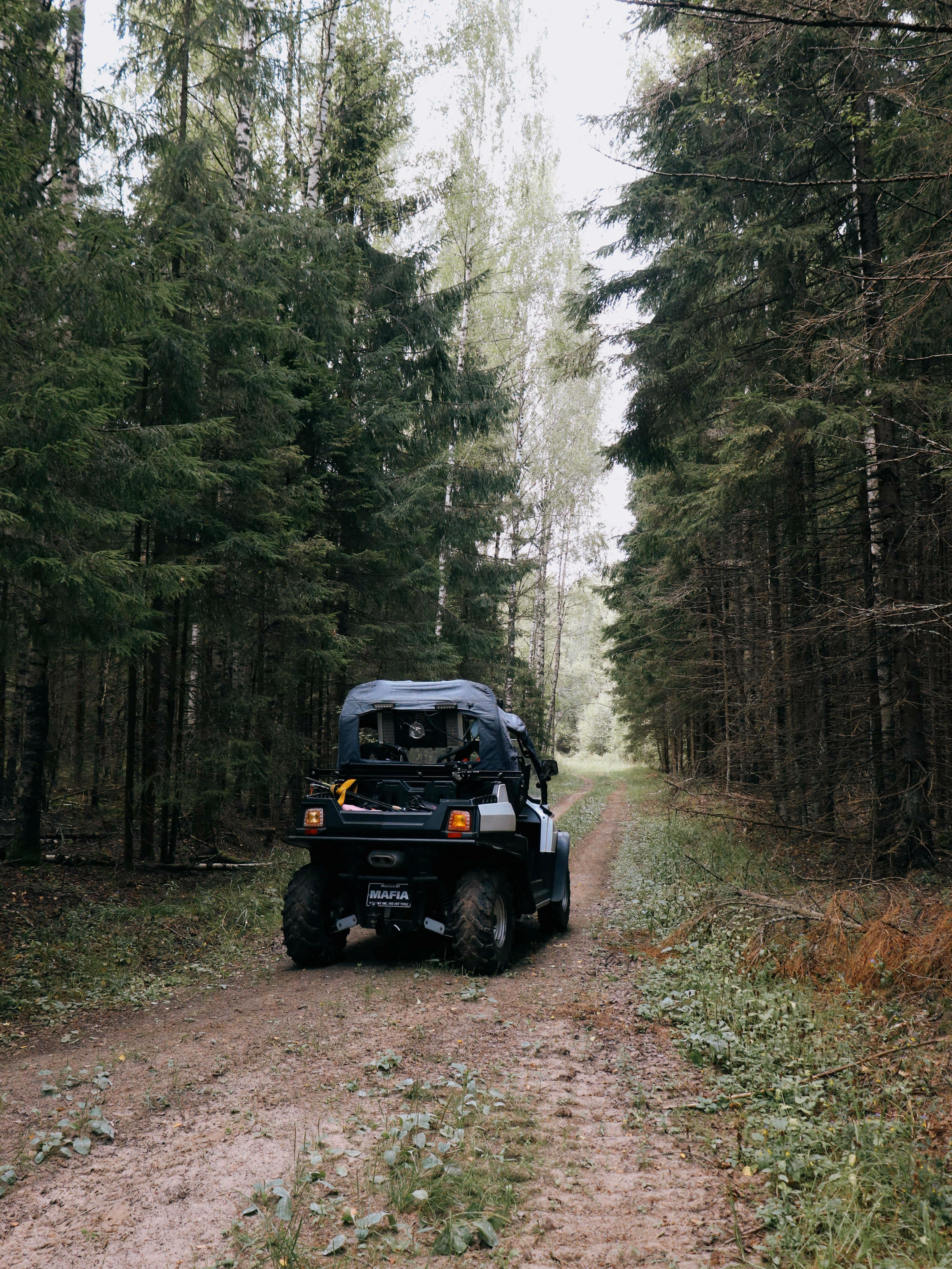 Trail in a tree covered forest with an ATV in the center