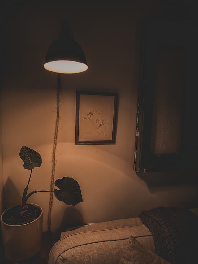 Softly lit corner with layered lighting and potted plants.