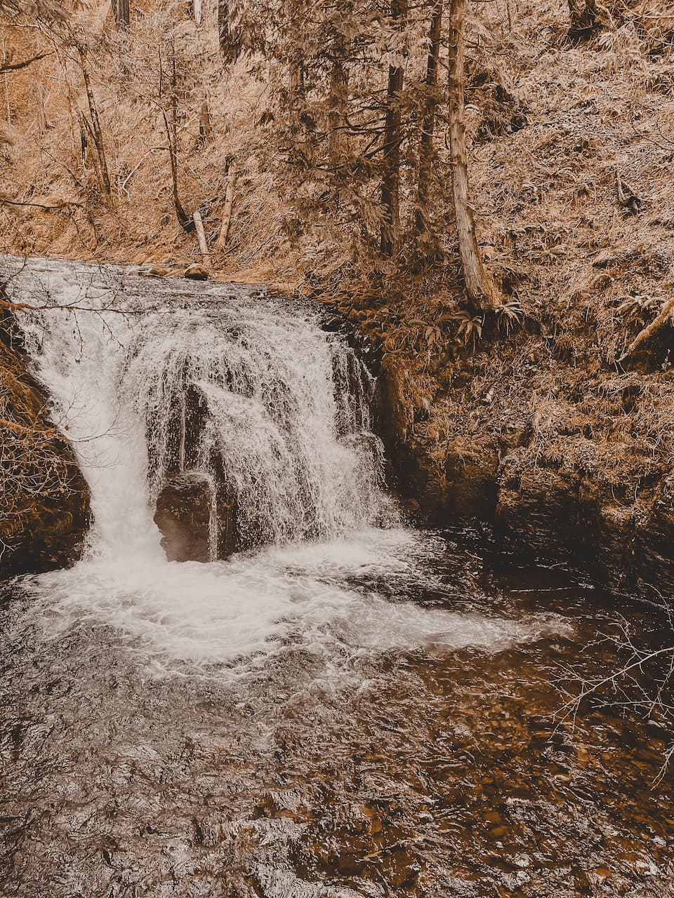 Small waterfall flowing over rocks into a clear pool.