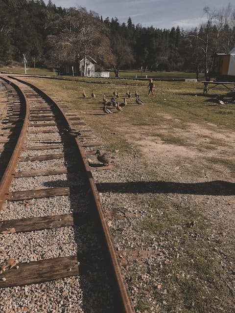 Railroad tracks curving through a rural landscape.