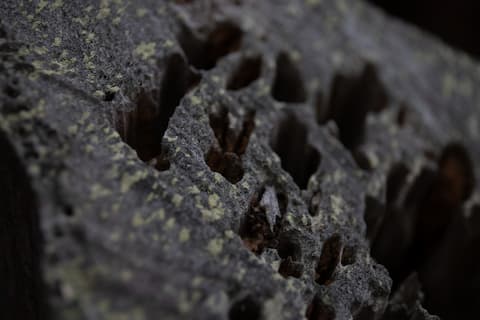 Close-up of a porous black rock with textured surface.