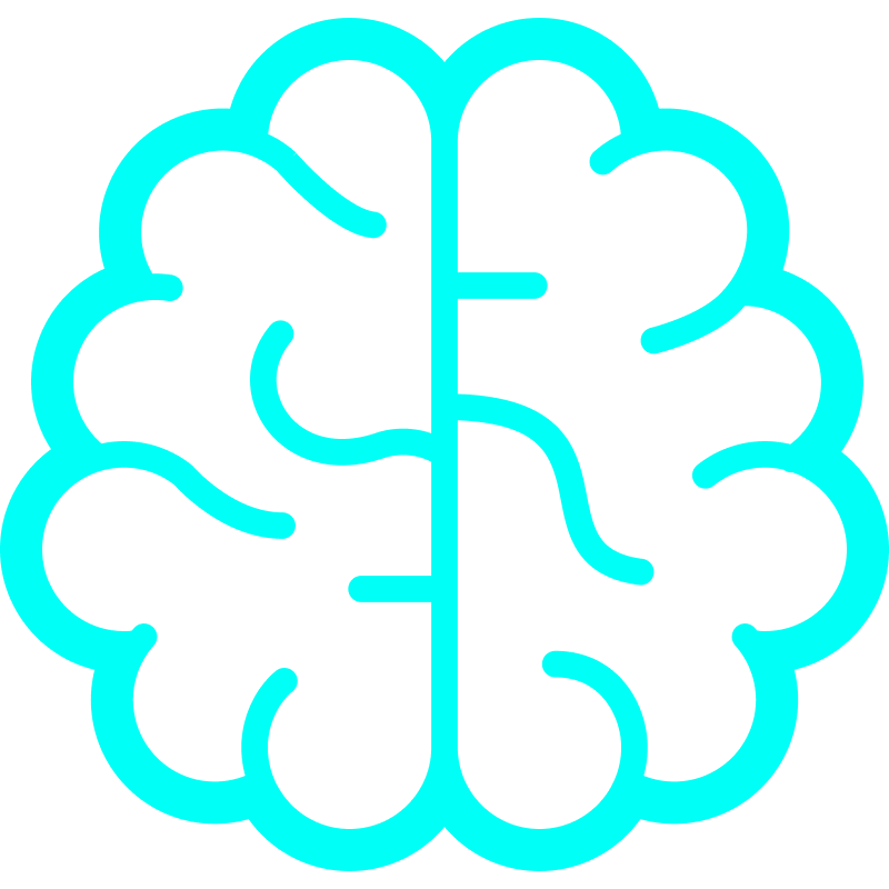 Brain Icon