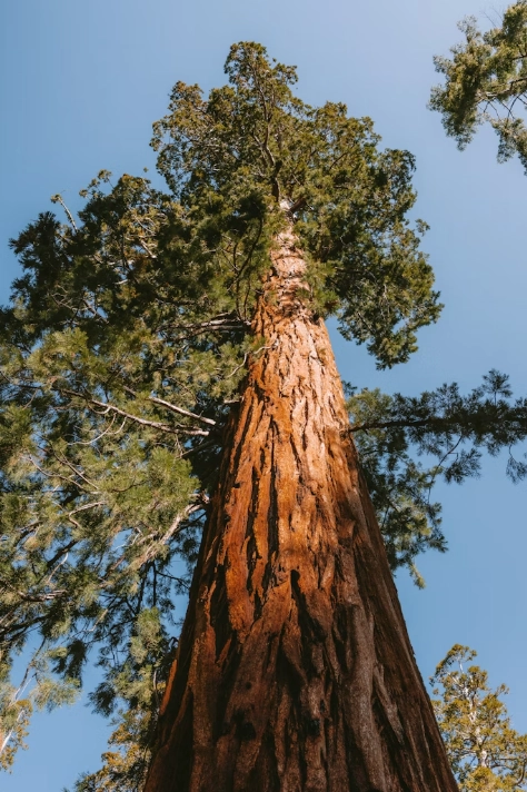 Intelligente Hybridbeschaffung